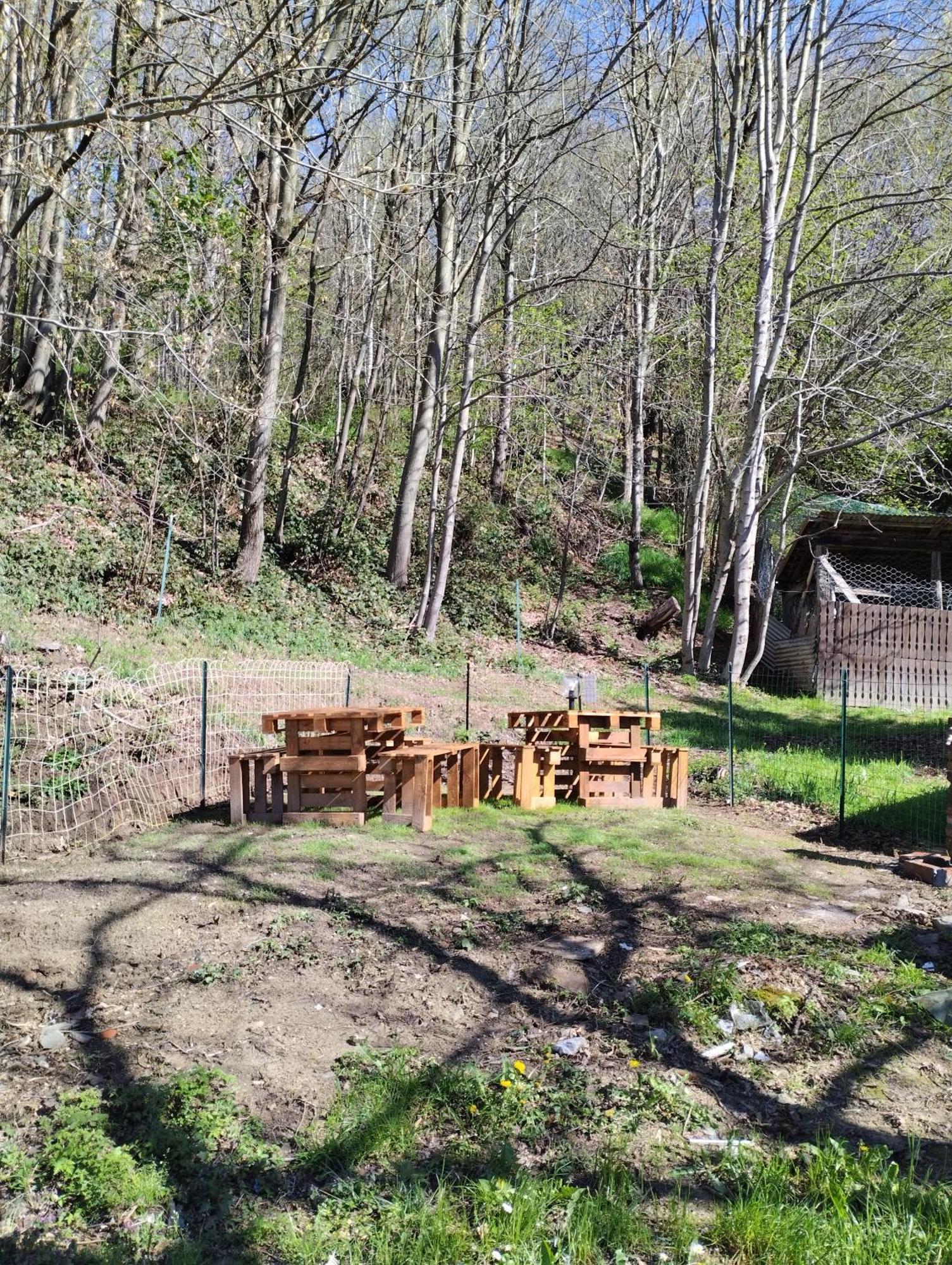 B&B La Marmotta Coazze Екстериор снимка